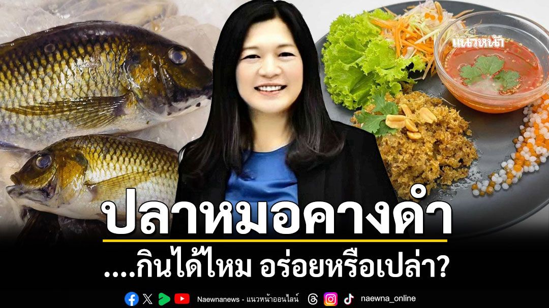 ปลาหมอคางดำ....กินได้ไหม อร่อยหรือเปล่า?