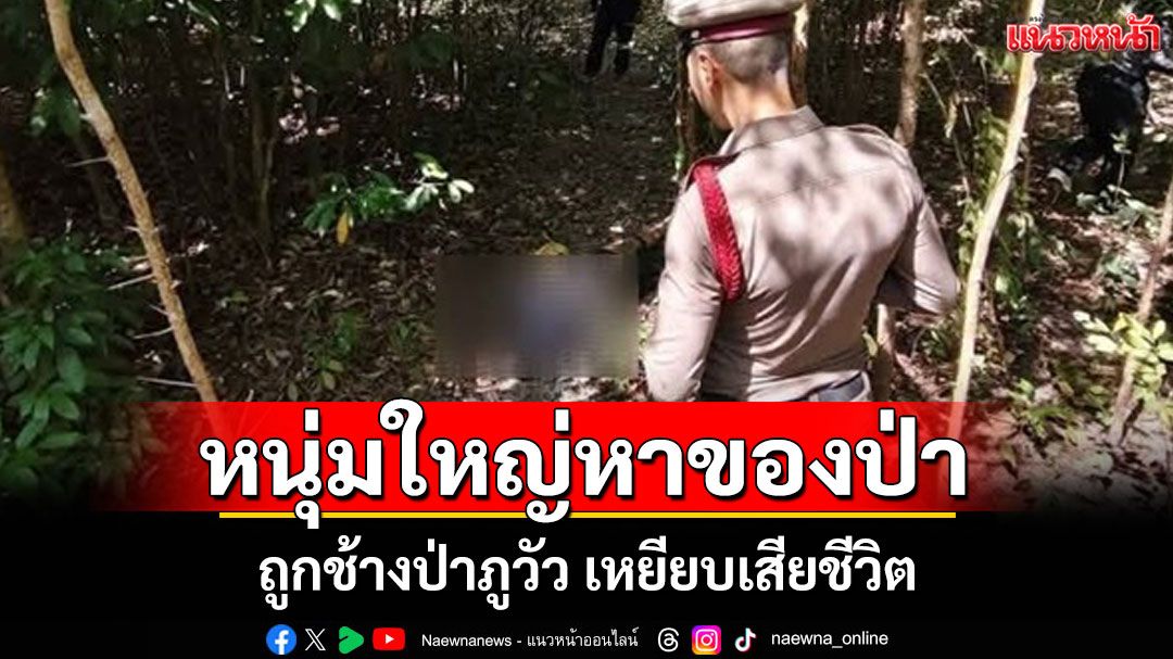 สลดช้างป่าภูวัว เหยียบชายวัย 55 ดับคาป่าหลังหายตัวไป 3 วัน ขณะออกเก็บของป่า