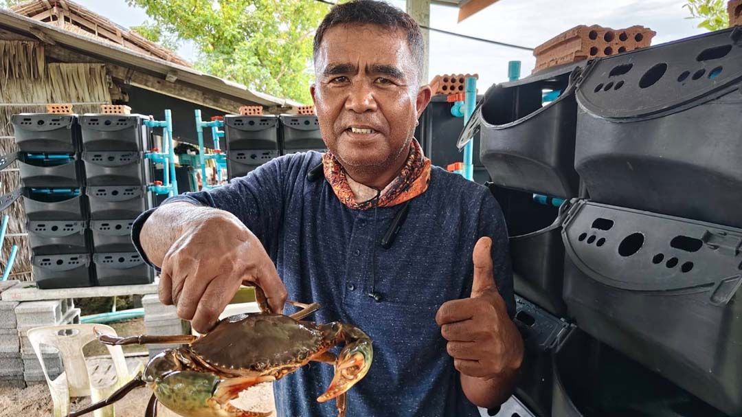 ‘ปูขาวอินทรีย์’สินค้าเศรษฐกิจตัวใหม่ สร้างคุณค่าเพิ่มและรายได้ยั่งยืนให้เกษตรกร