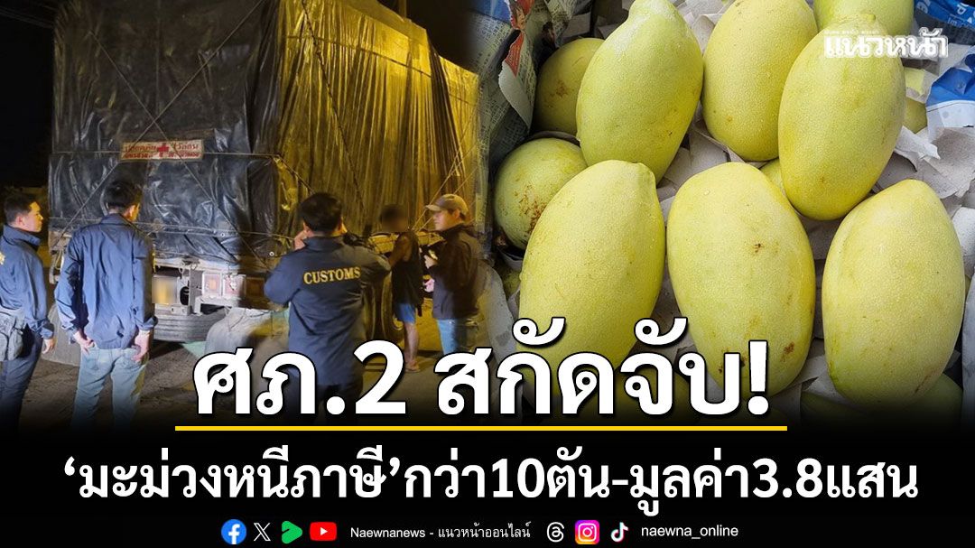 ศภ.2 สกัดจับ! ‘มะม่วงหนีภาษี’ ยึดของกลางกว่า 10 ตัน มูลค่า 3.8 แสนบาท
