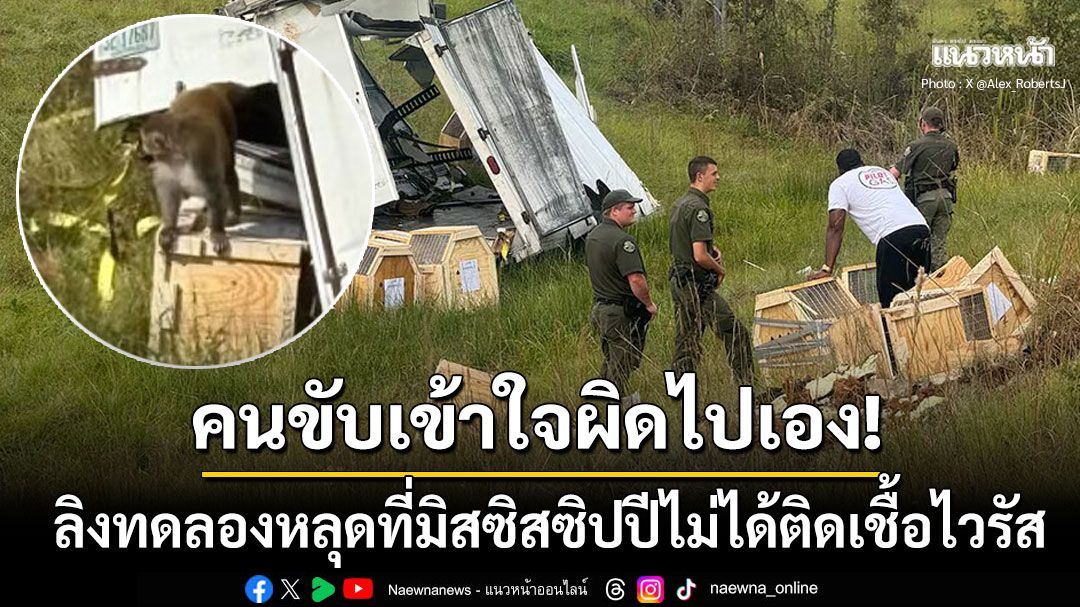 หยุดแตกตื่น! ลิงทดลองหลุดที่มิสซิสซิปปีไม่มีเชื้อไวรัส คนขับเข้าใจผิดทำคนผวาทั้งโลก