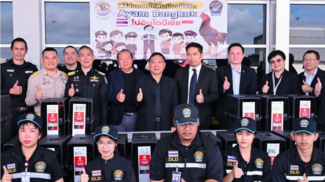 อธิบดีกรมปศุสัตว์ ติดตามความก้าวหน้าการส่งออก Ayam Bangkok ไปอินโดนีเซีย สร้างรายได้เข้าประเทศแล้ว 50 ล้าน