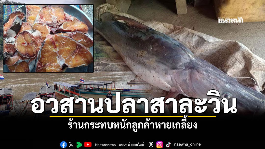 สารหนูทำพิษ! ร้านขาย'ปลาสาละวิน'ลูกค้าหายเกลี้ยง รอผลตรวจ7วันชี้ชะตา