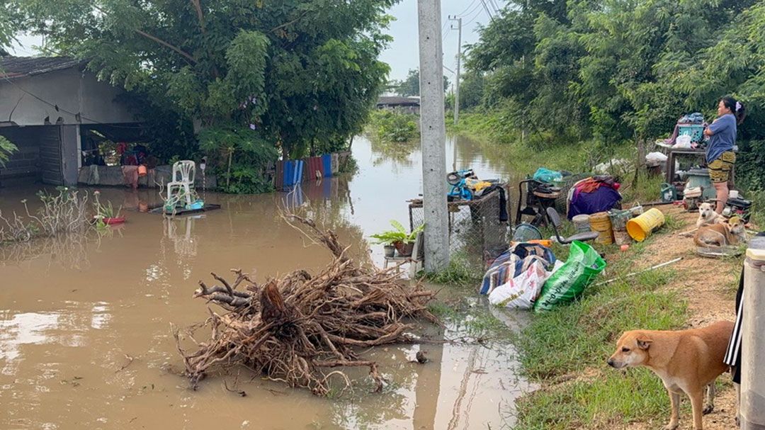 อ่างทองวิกฤตหนัก! คันดินแตกน้ำเจ้าพระยาพุ่งท่วมตำบลป่าโมก กว่า 100 ครัวเรือนเดือดร้อน