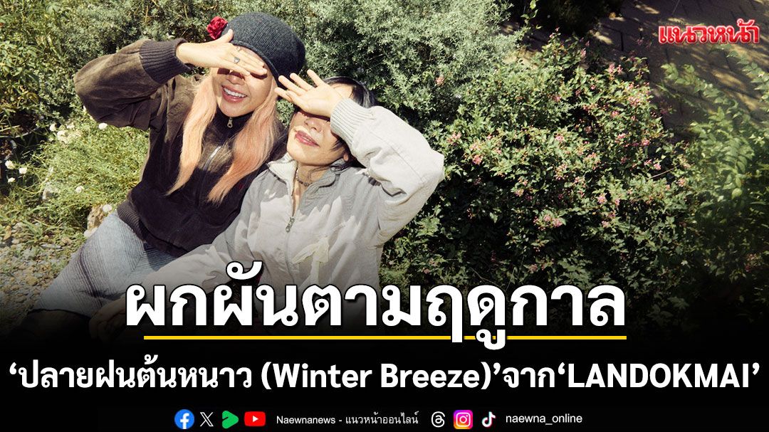 'ปลายฝนต้นหนาว (Winter Breeze)'เพลงใหม่จาก 'LANDOKMAI'กับความเหงาที่ผกผันตามฤดูกาล