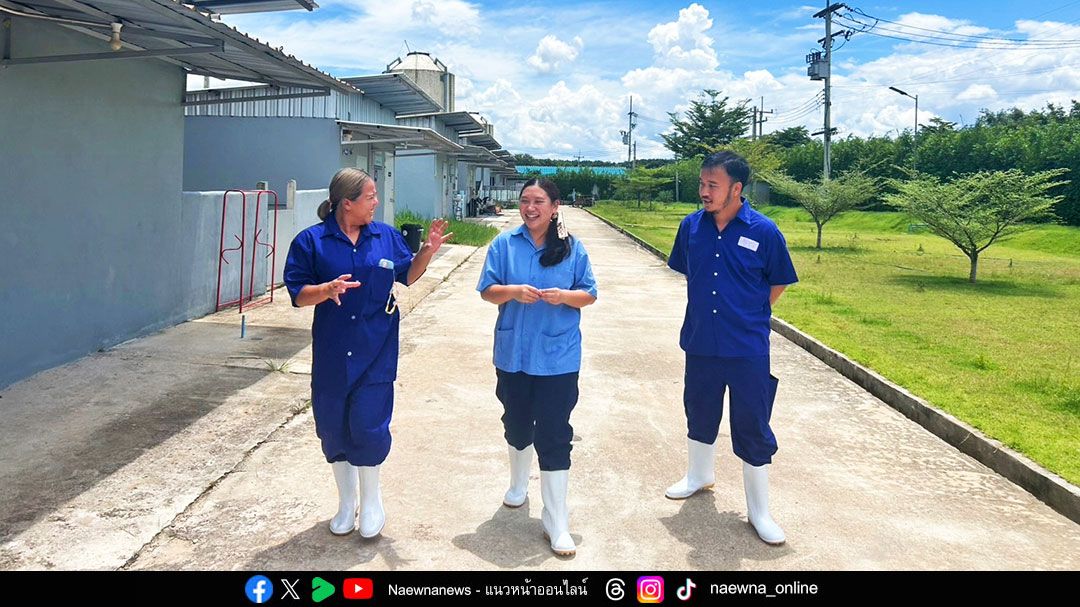 'ชนิสราฟาร์ม' ตัวอย่างเกษตรกร Contract Farming สร้างอาชีพมั่นคงด้วยสองมือ