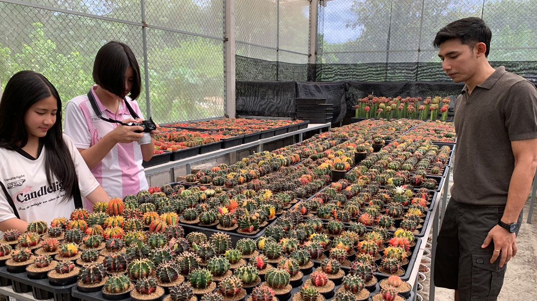 มนุษย์เงินเดือน สู่เกษตรกรรุ่นใหม่!  หนุ่มตรังปั้นสวนแคคตัสขายทั่วโลก