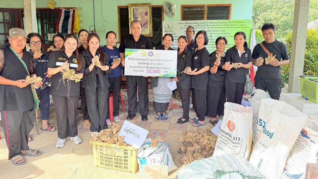 ‘กฟก.เชียงราย’ส่งมอบปัจจัยการผลิตงวด 3 โครงการปลูกพืชสมุนไพร งบอุดหนุนองค์กรเกษตรกร