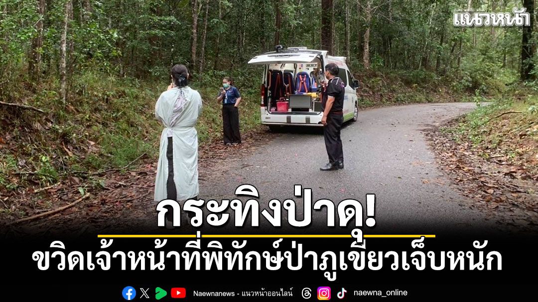 จนท.พิทักษ์ป่าภูเขียวถูก'กระทิงป่า'ขวิดเจ็บสาหัส ขณะลาดตระเวนกลางป่าลึก
