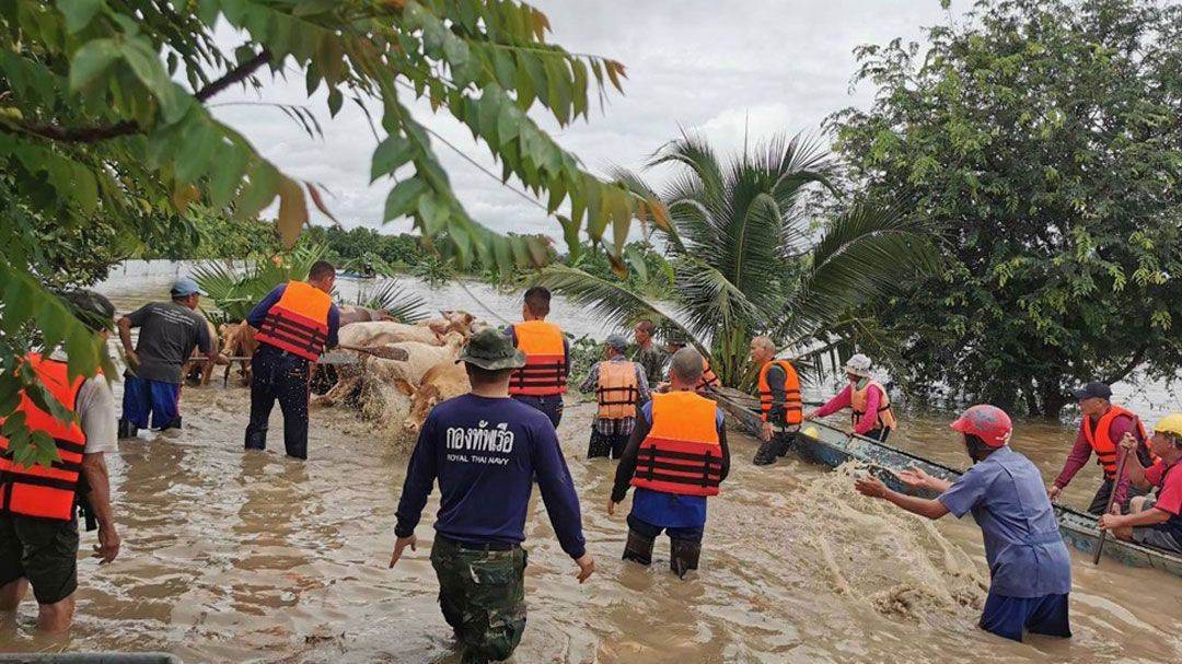 กองทัพเรือเตรียมพร้อมเต็มที่ รับมือพายุคัลแมกี เพื่อช่วยเหลือประชาชน