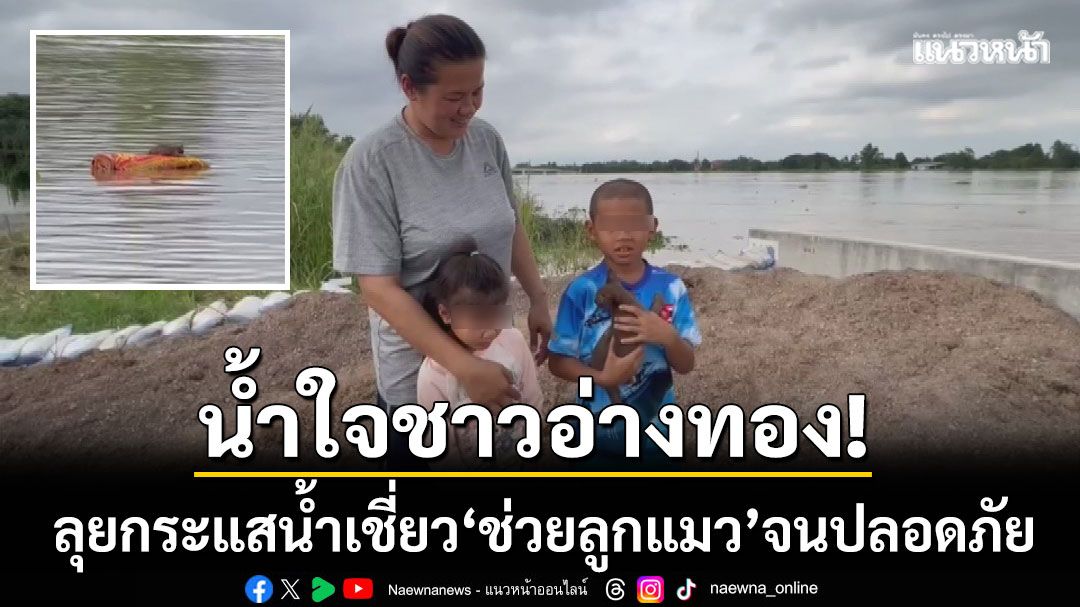 น้ำใจชาวอ่างทอง! ลุยกระแสน้ำเชี่ยว ‘ช่วยลูกแมววัย 2 เดือน’ จนปลอดภัย