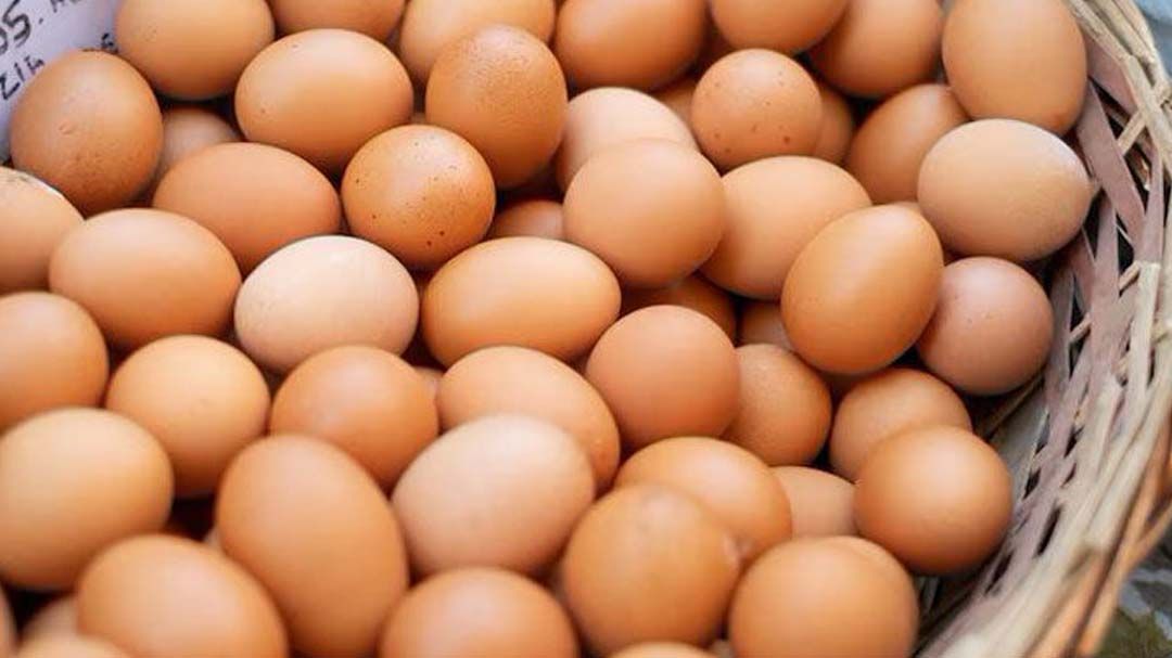 ‘ไข่คละหน้าฟาร์ม’ปรับขึ้น 20 สตางค์ ราคาแนะนำฟองละ 3.20 บาทหรือเพิ่มขึ้นแผงละ 6 บาท