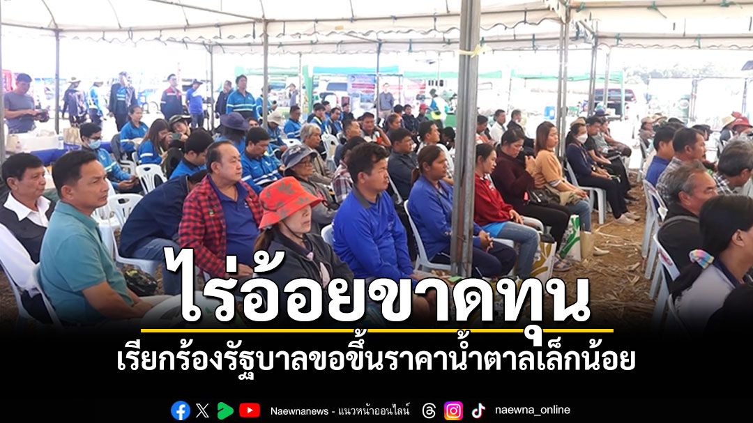 ชาวไร่อ้อยขาดทุนหนัก เรียกร้องรัฐบาล ขอขึ้นราคาน้ำตาลเล็กน้อย