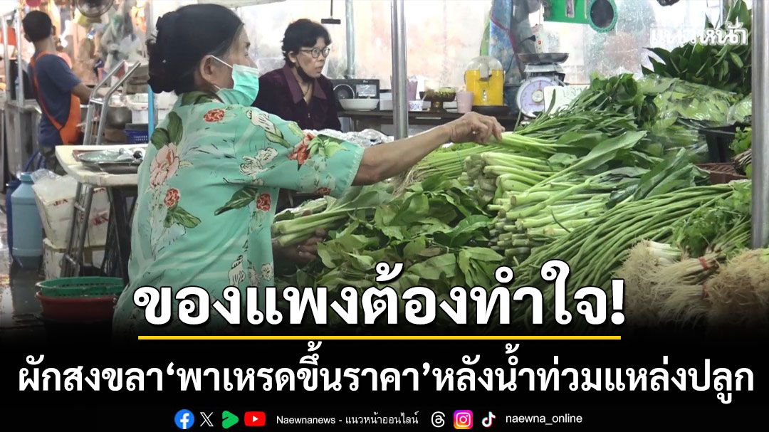 ของแพงทำใจ! ผักสงขลา ‘พาเหรดขึ้นราคา’ หลังน้ำท่วมแหล่งปลูกภาคกลาง