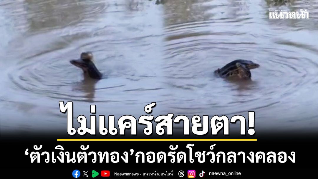 ไม่แคร์สายตา! ‘ตัวเงินตัวทอง’ กอดรัดโชว์กลางคลอง เชื่อเป็นสัญญาณให้โชค