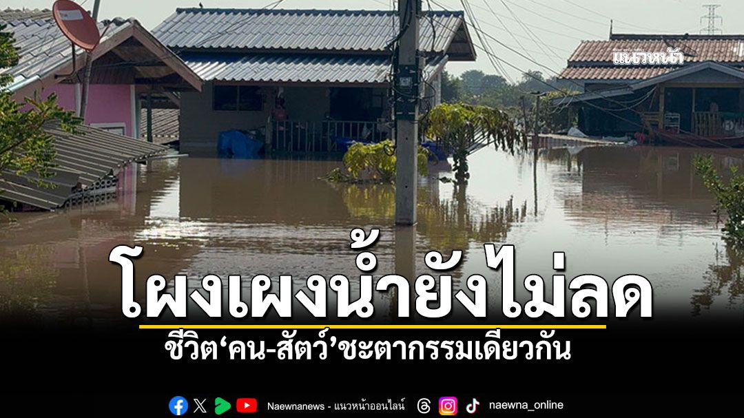 โผงเผงยังจมบาดาล อ่างทองน้ำท่วม2เดือนไม่ลด ชีวิต'คน-สัตว์'ชะตากรรมเดียวกัน