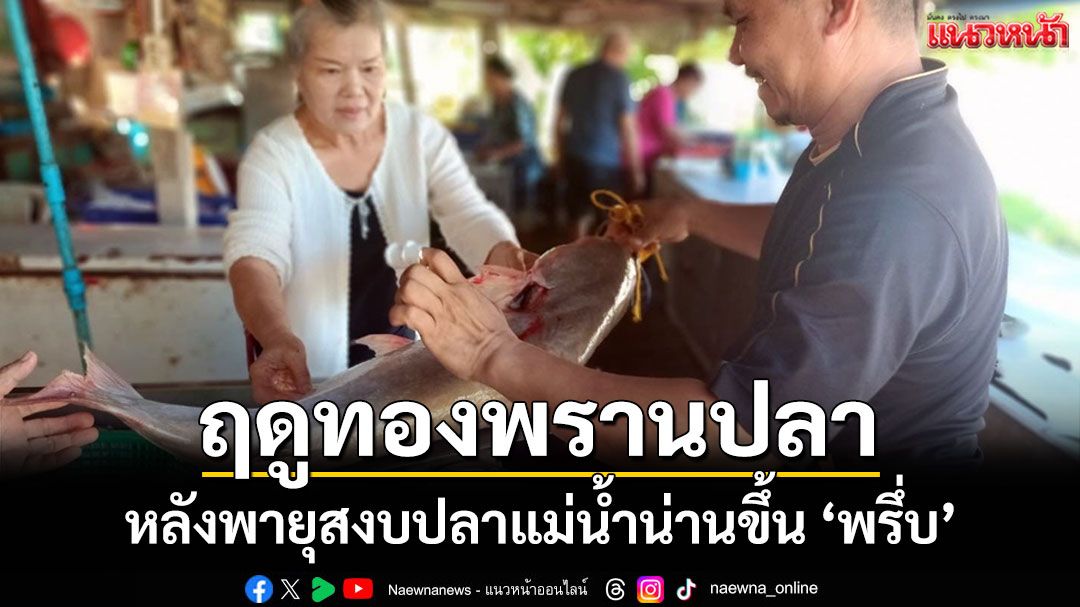 ฤดูทองพรานปลาหลังพายุผ่าน'ปลาแดง-ปลาน้ำเงิน'แม่น้ำน่านขึ้นพรึ่บ ตลาดพิษณุโลกคึกคัก
