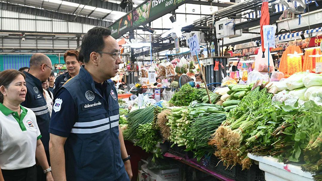 ตรึงราคาผักชีปลายฝน!  คาดราคาลดลงสัปดาห์หน้า