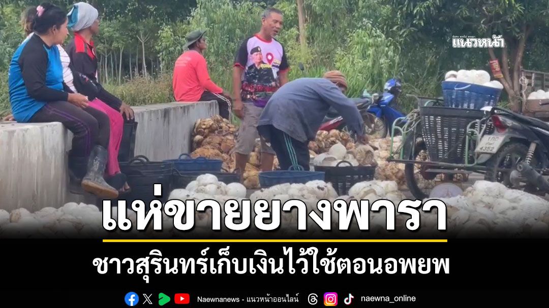 เสียงจากชายแดน! ชาวสุรินทร์แห่ขายยางพารา เก็บเงินไว้ใช้ตอนอพยพ