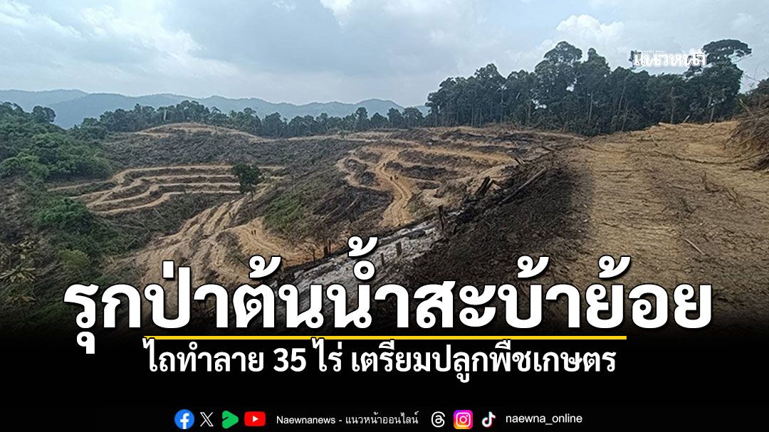 บุกรุกป่าต้นน้ำสะบ้าย้อย! พบร่องรอยรถไถทำลาย 35 ไร่ เตรียมปลูกพืชเกษตร