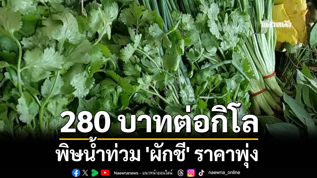 พิษน้ำท่วม! 'ผักชี'ราคาพุ่ง 280 บาทต่อกิโล ผักต่างๆ พาเหรดขึ้นตาม