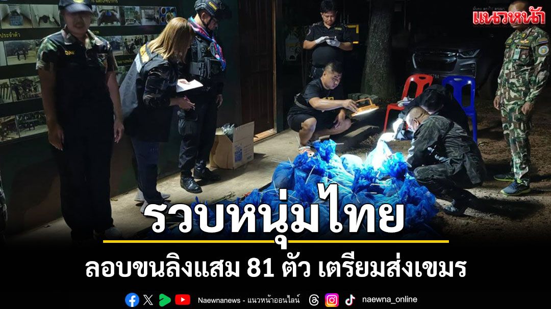 รวบ 2 หนุ่มไทยคาบึงทิ้งรถกระบะขนลิงแสม 81 ตัวเตรียมส่งเขมรค้นเจอยาบ้า-ไอซ์คารถ