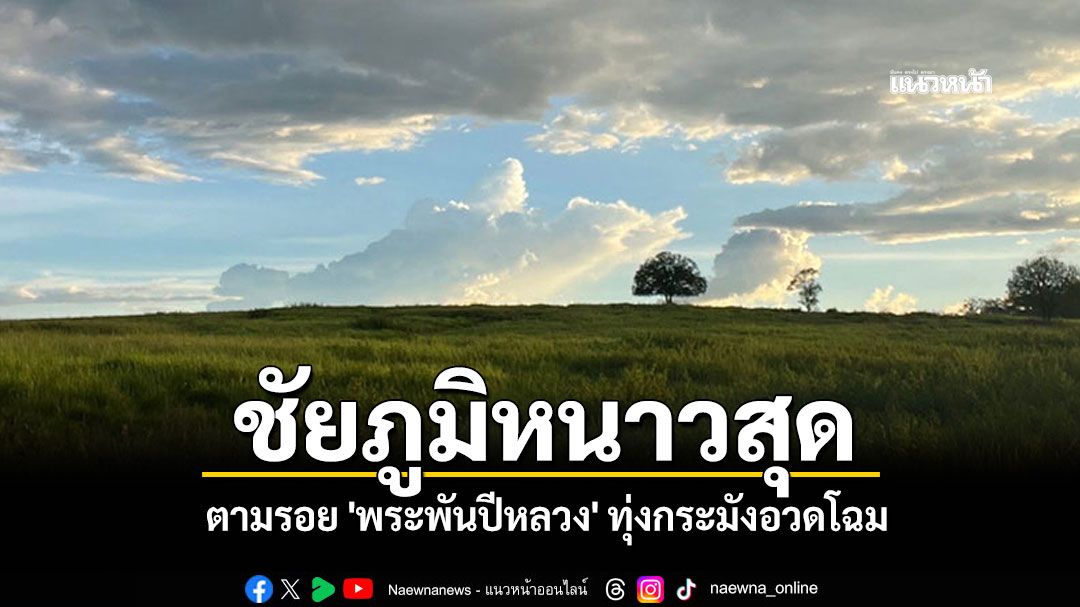 ชัยภูมิหนาวสุด! ตามรอย 'พระพันปีหลวง' ทุ่งกระมังอวดโฉม