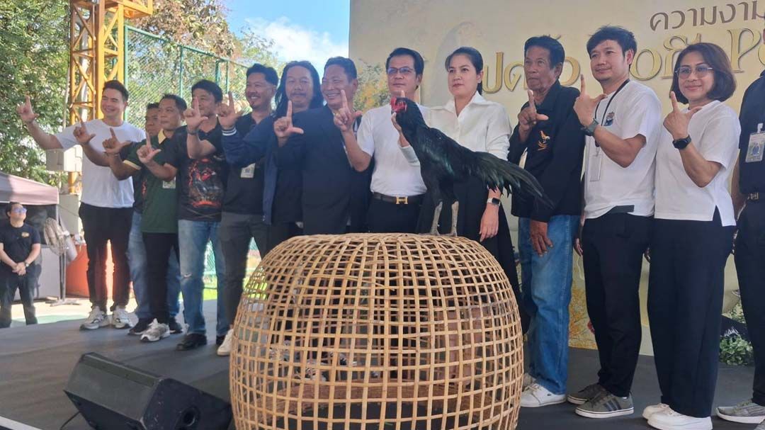 ‘มรร.ราชนครินทร์ ฉะเชิงเทรา’จัดประกวดไก่พื้นเมืองไทยเขียวโสธร-ปลากัดแปดริ้ว