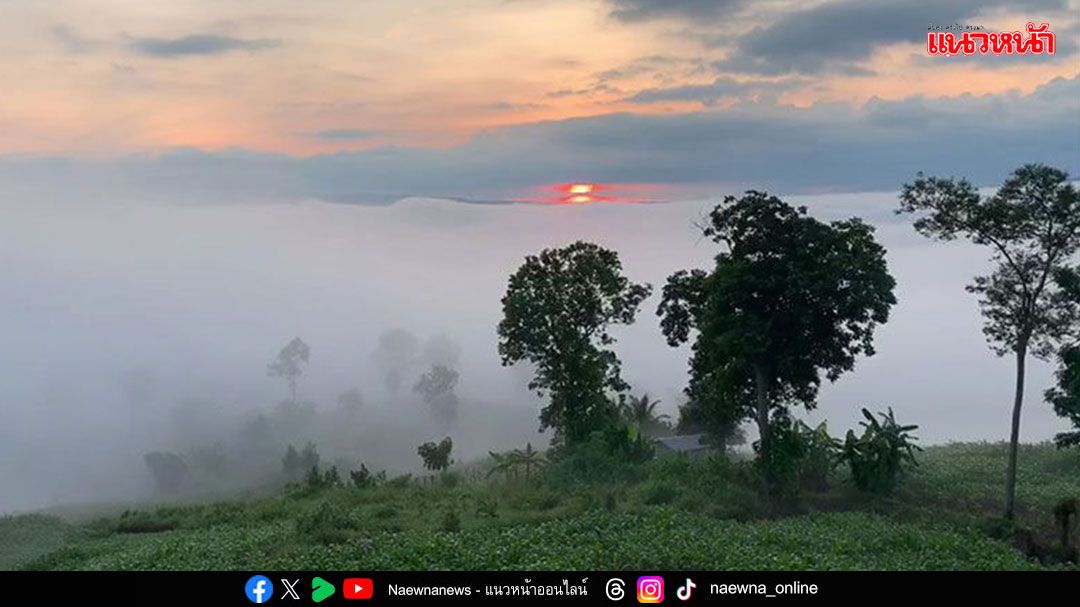 เตือนไทยหนาววูบ อุณหภูมิลด4-7องศา รมว.เกษตรคาดน้ำลด