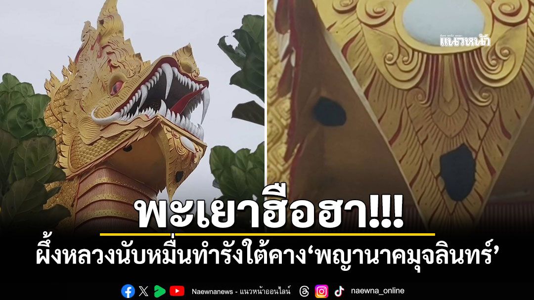 พะเยาฮือฮา! ผึ้งหลวงนับหมื่นทำรังใต้คาง'พญานาคมุจลินทร์'