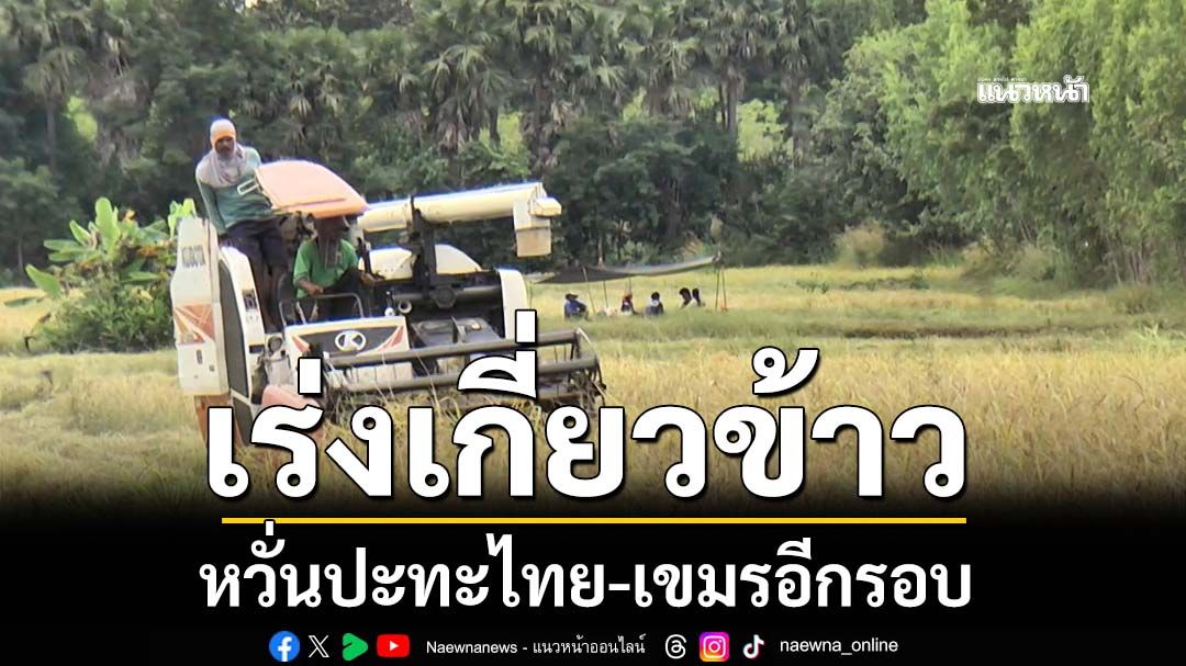 ‘ชาวนา’แถวชายแดนแห่ต่อคิวดีลรถเร่งเกี่ยวข้าว หวั่นปะทะไทย-เขมรอีกรอบ