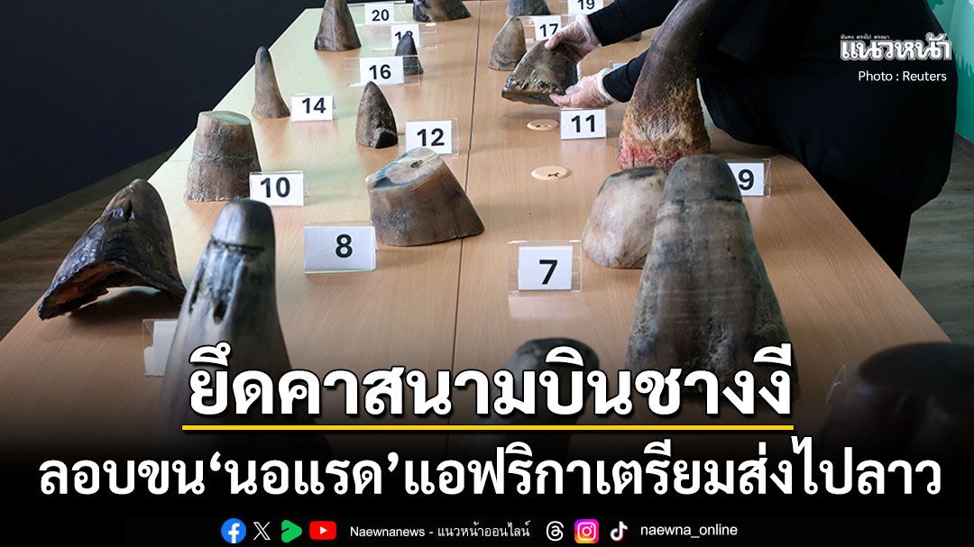 ตะลึง! สิงคโปร์ยึด'นอแรด'คาสนามบินชางงี ลอบขนจากแอฟริกาจ่อส่งลาว