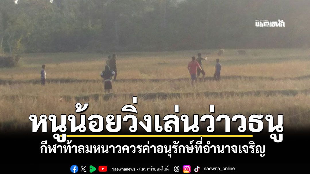 หนูน้อยวิ่งเล่น'ว่าวธนู' กีฬาท้าลมหนาว ควรค่าอนุรักษ์ที่อำนาจเจริญ