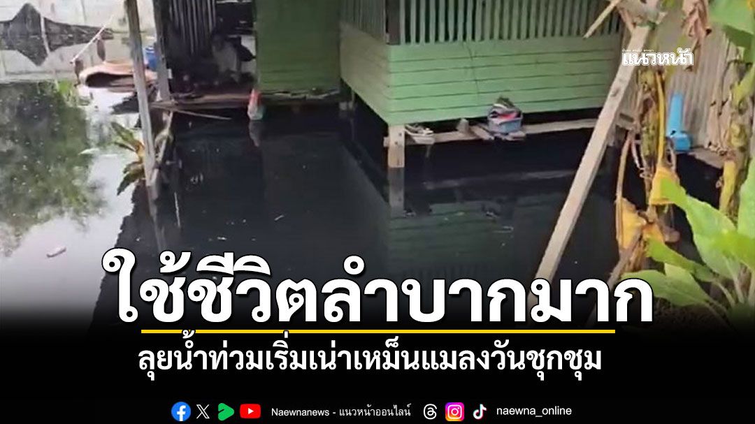 ลำบากมาก! ชาวอ่างทองเดินลุยน้ำท่วมเน่าเสีย ส่งกลิ่นเหม็นแมลงวันชุกชุม