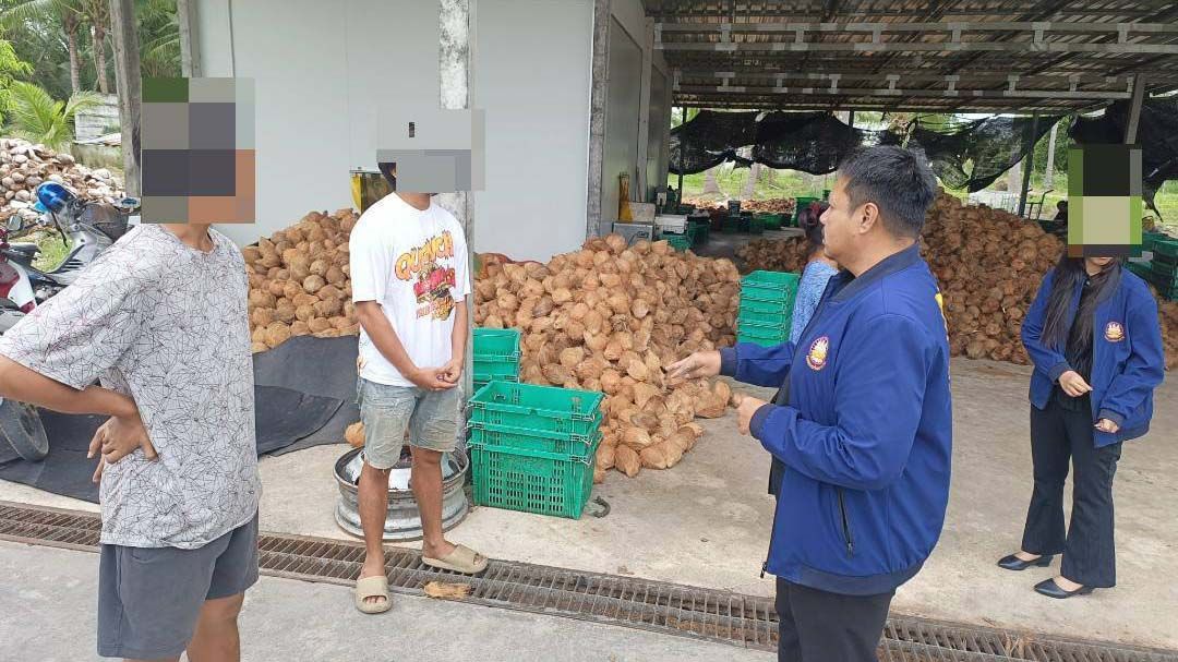 บุกตรวจล้งมะพร้าวประจวบฯ พบแรงงานเถื่อนเมียนมา ทำงานโดยไม่ได้รับอนุญาต