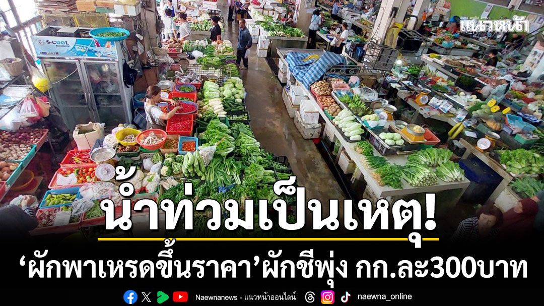 น้ำท่วมเป็นเหตุ! ผักเบตง ‘พาเหรดขึ้นราคา’ ผักชีพุ่งทะยาน กก.ละ 300 บาท