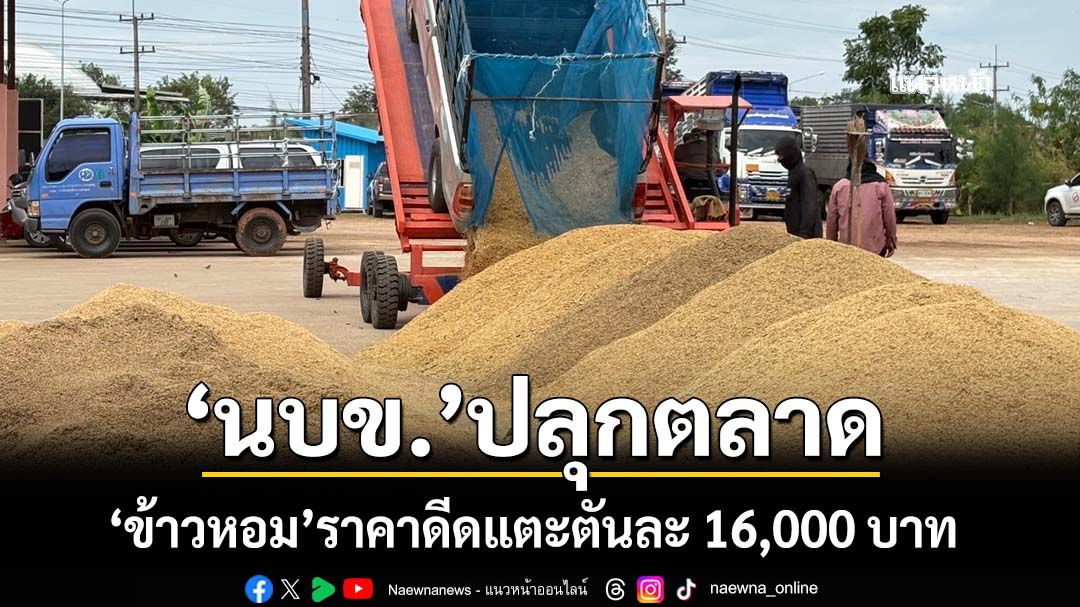 ‘พาณิชย์’ยกมาตรการ‘นบข.’ปลุกตลาด ‘ข้าวหอม’ราคาดีดแตะตันละ 16,000 บาท พุ่งขึ้น 1,000 บาท