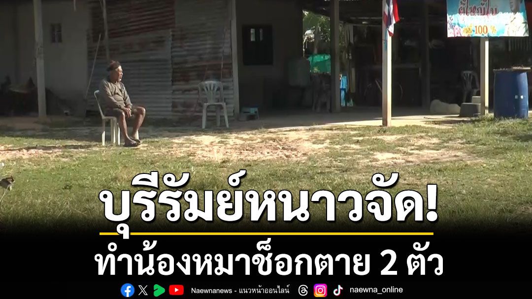 บุรีรัมย์หนาวจัด! ทำน้องหมานอนแข็งตาย 2 ตัว