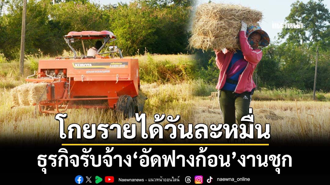 งานชุก! ธุรกิจรับจ้าง‘อัดฟางก้อน’หลังเกี่ยวข้าว โกยรายได้วันละหมื่นบาท