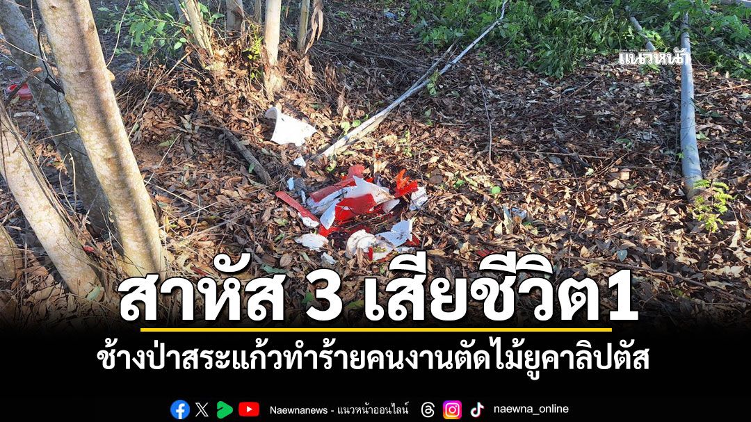 ช้างป่าสระแก้ว ทำร้ายแรงงานตัดไม้ยูคาลิปตัส สาหัส 3 เสียชีวิต1