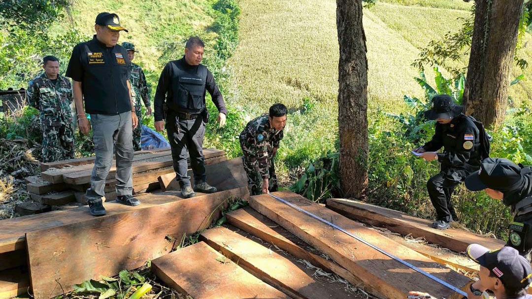 ผอ.สจป.4 (ตาก) ร่วมตรวจยึดไม้ประดู่แปรรูป ของกลาง 32 แผ่น