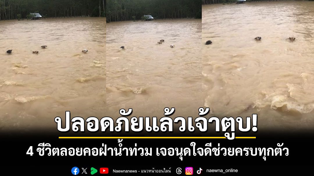 ปลอดภัยแล้วเจ้าตูบ! คลิป 4 ชีวิตลอยคอฝ่ากระแสน้ำท่วม เจอนุดใจดีช่วยครบทุกตัว