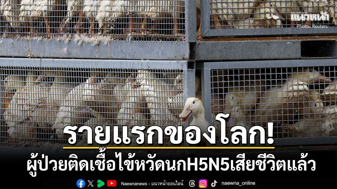 รายแรกของโลก! ผู้ป่วยติดเชื้อไวรัสไข้หวัดนกสายพันธุ์หายาก'H5N5'เสียชีวิตแล้ว