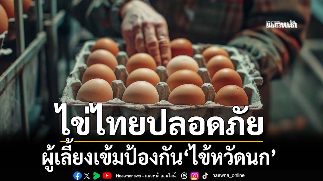‘ผู้เลี้ยงไก่ไข่’เข้มมาตรการป้องกัน‘ไข้หวัดนก’ ย้ำไข่ไทยปลอดภัย-เพียงพอ