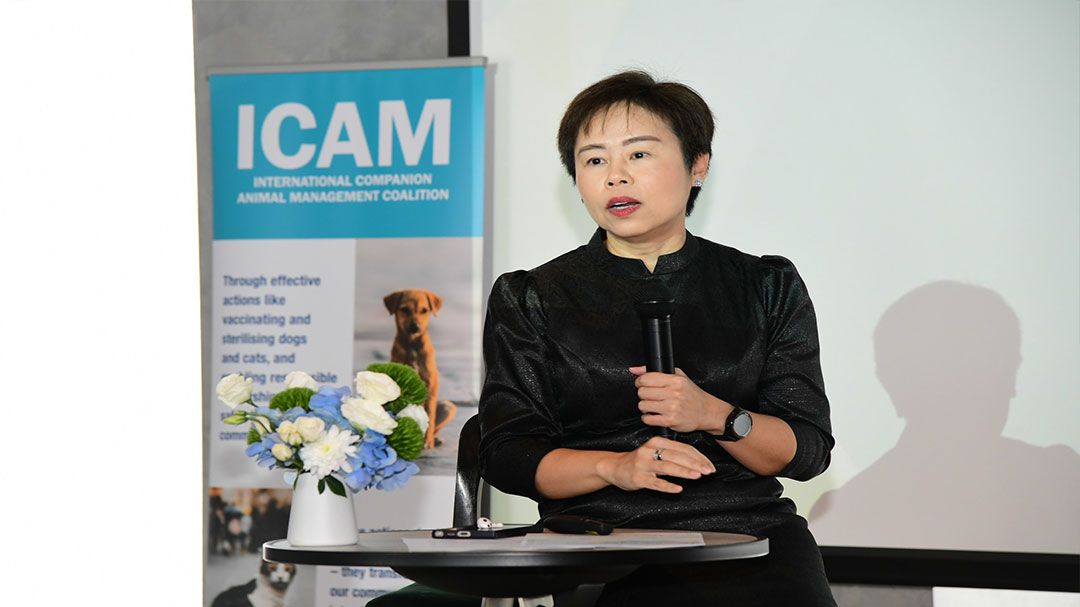 กทม.เปิดเวทีนานาชาติระดมผู้เชี่ยวชาญ ยกระดับสวัสดิภาพ- จัดการหมาแมวจร