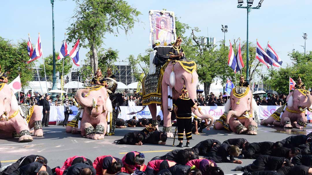 ชาวช้างทั่วประเทศ พร้อมช้าง 11 เชือก ถวายพระเกียรติสุดหัวใจ ถวายอาลัย'สมเด็จพระพันปีหลวง'