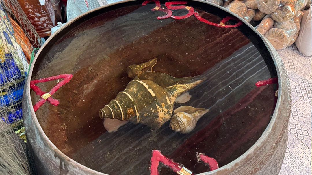 คอหวยแห่ส่องเลขเด็ดอ่างน้ำมนต์ฤาษีเณร สาวนครสวรรค์แก้บนฟักทอง 1 ตัน