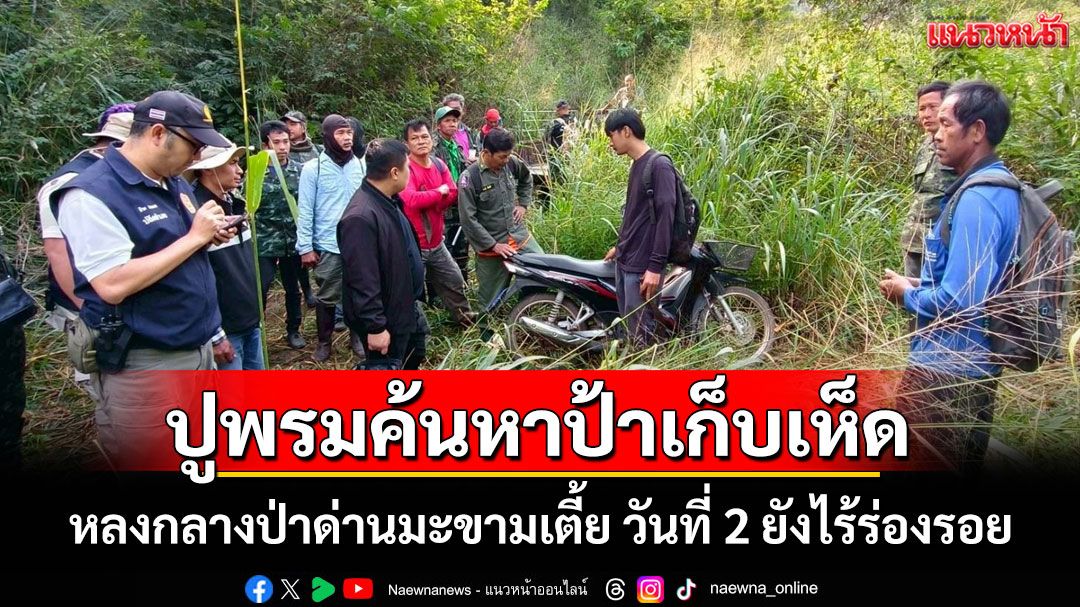 ระดม จนท.-ชาวบ้านกว่า 100 รายปูพรมค้นหา'ป้าหาเห็ด'หลงกลางป่าเข้าสู่วันที่ 2 ยังไม่พบ