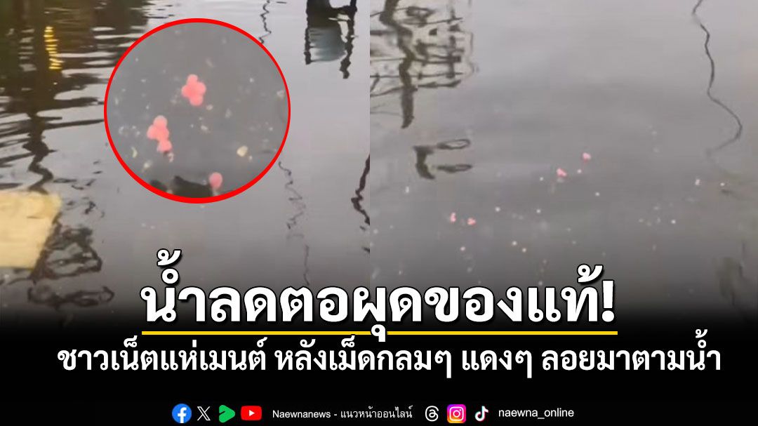 น้ำลดตอผุดของแท้! ชาวเน็ตแห่เมนต์ หลังเม็ดกลมๆ แดงๆ ลอยมาตามน้ำ