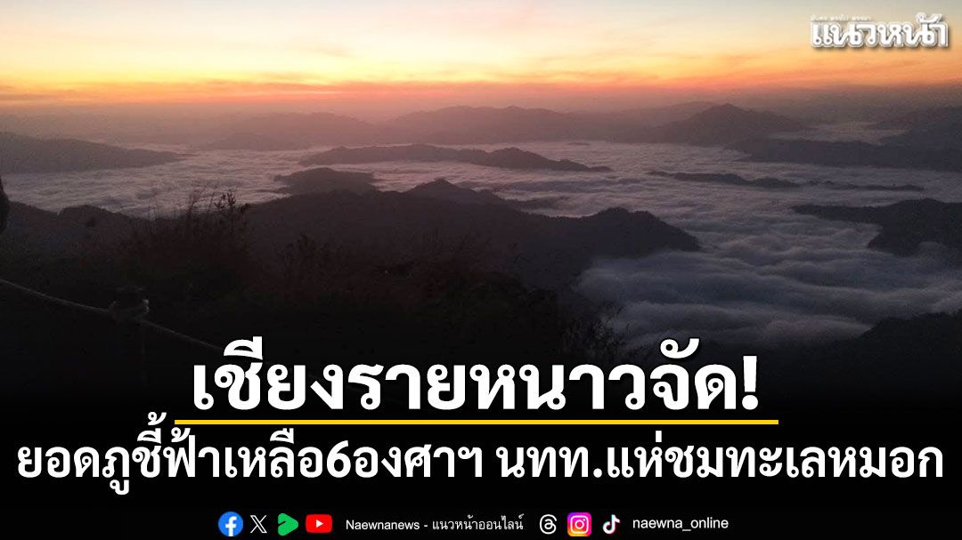 เชียงรายหนาวจัด ยอดภูชี้ฟ้าเหลือ6องศาฯ นทท.แห่ชมทะเลหมอก